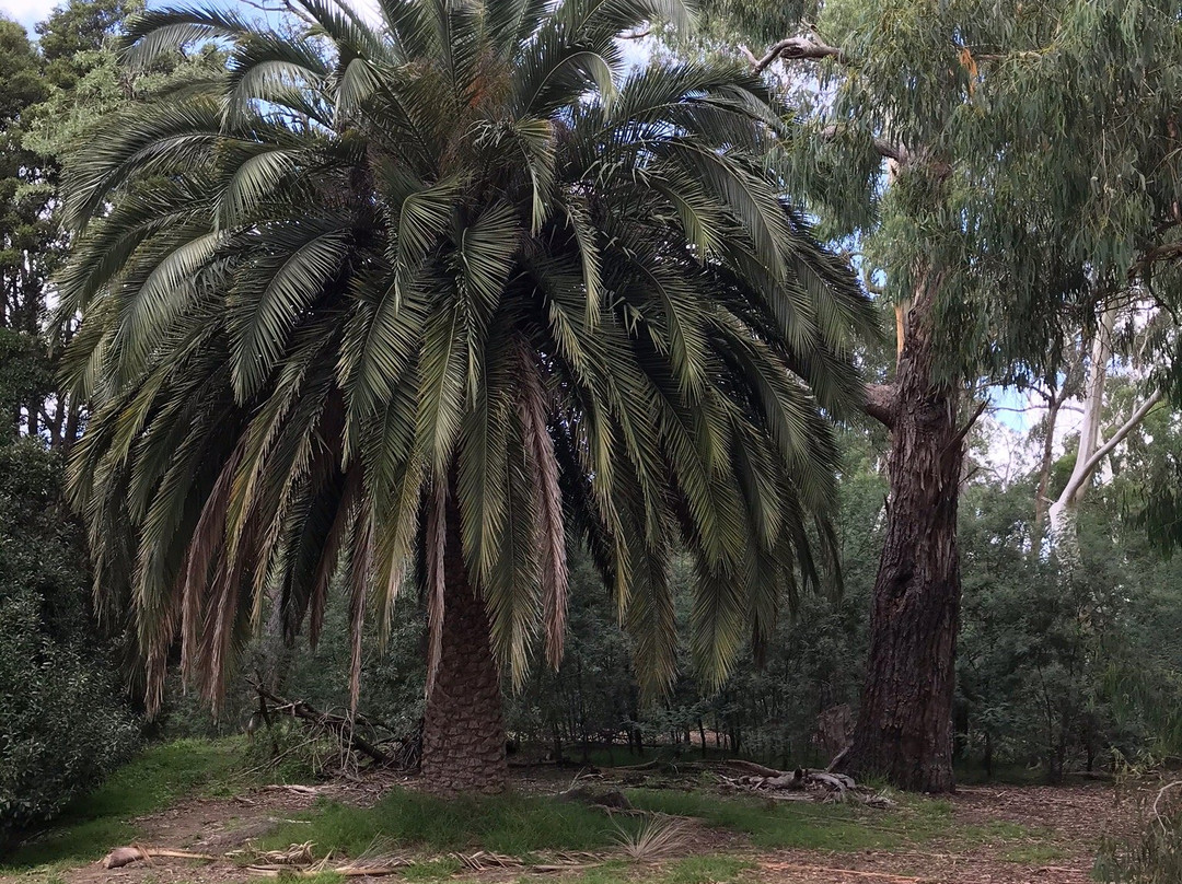 Eltham north reserve景点图片