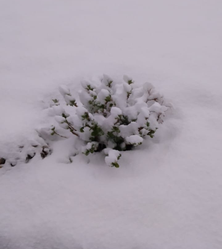 KMVN Tourist Rest House Binsar主图