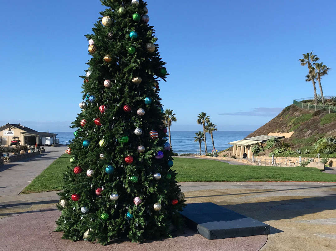 Fletcher Cove Park-索拉纳海滩必去景点