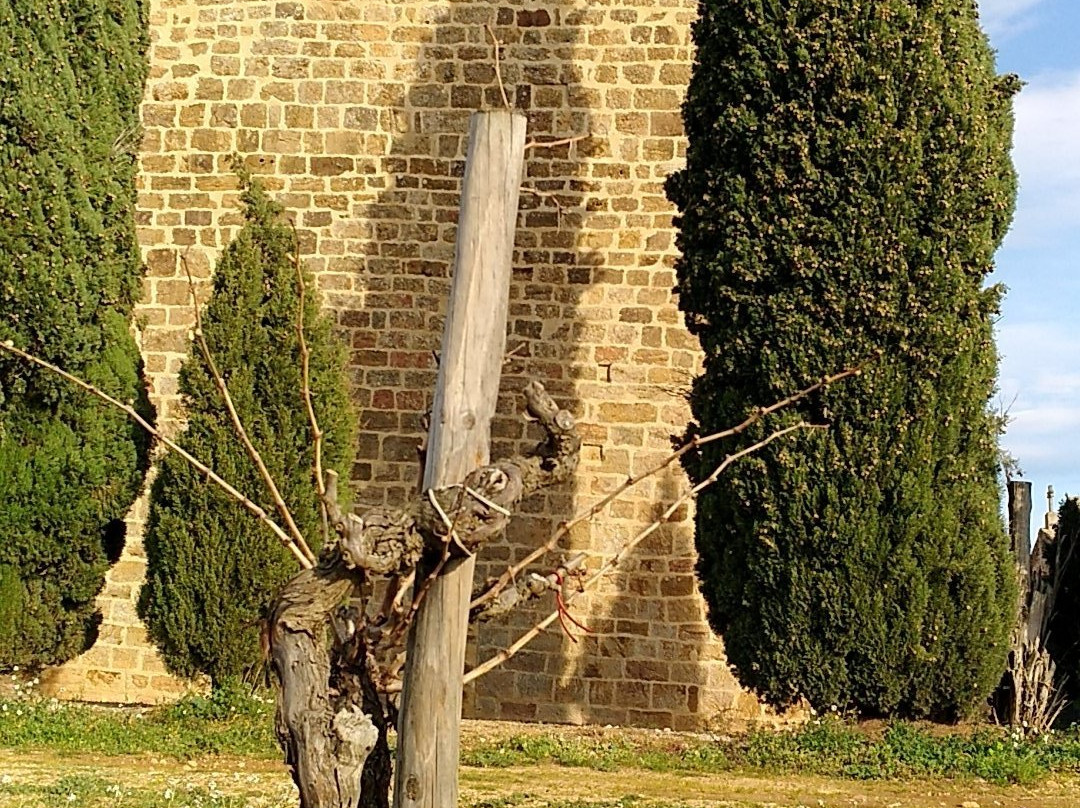 Nature et Saveurs主图