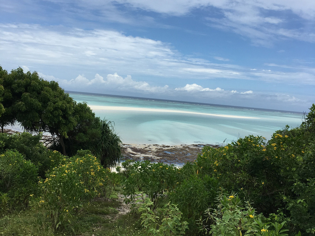 Zenjy Tours-桑给巴尔岛必去景点