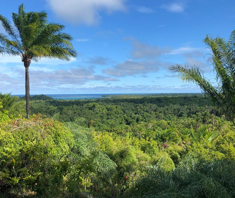 Eco-Pousada Casa Bobo主图