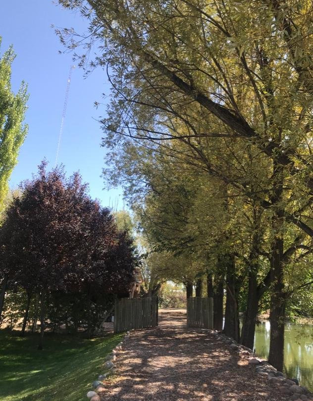 Huarpe Riglos Family Wines-阿格雷洛必去景点