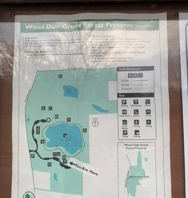 Wood Dale Grove Forest Preserve-Wood Dale必去景点