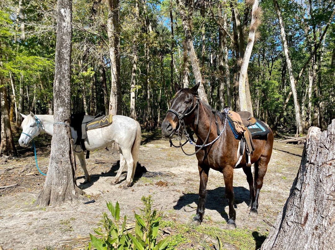 Makin Tracks Trail Rides llc.景点图片