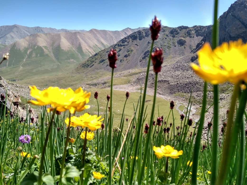 Kol-Ukok Lake-Kochkor必去景点