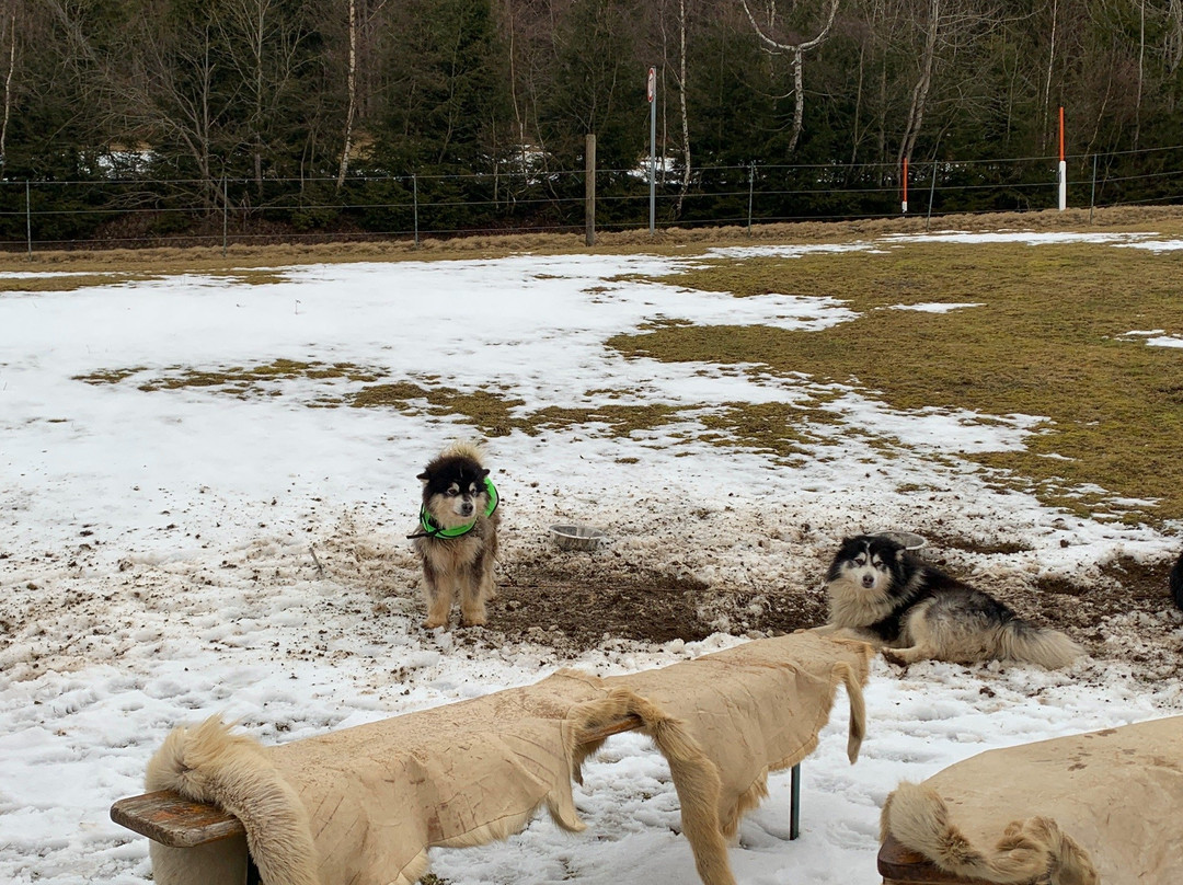 Husky-Hof Dreisessel-Neureichenau必去景点