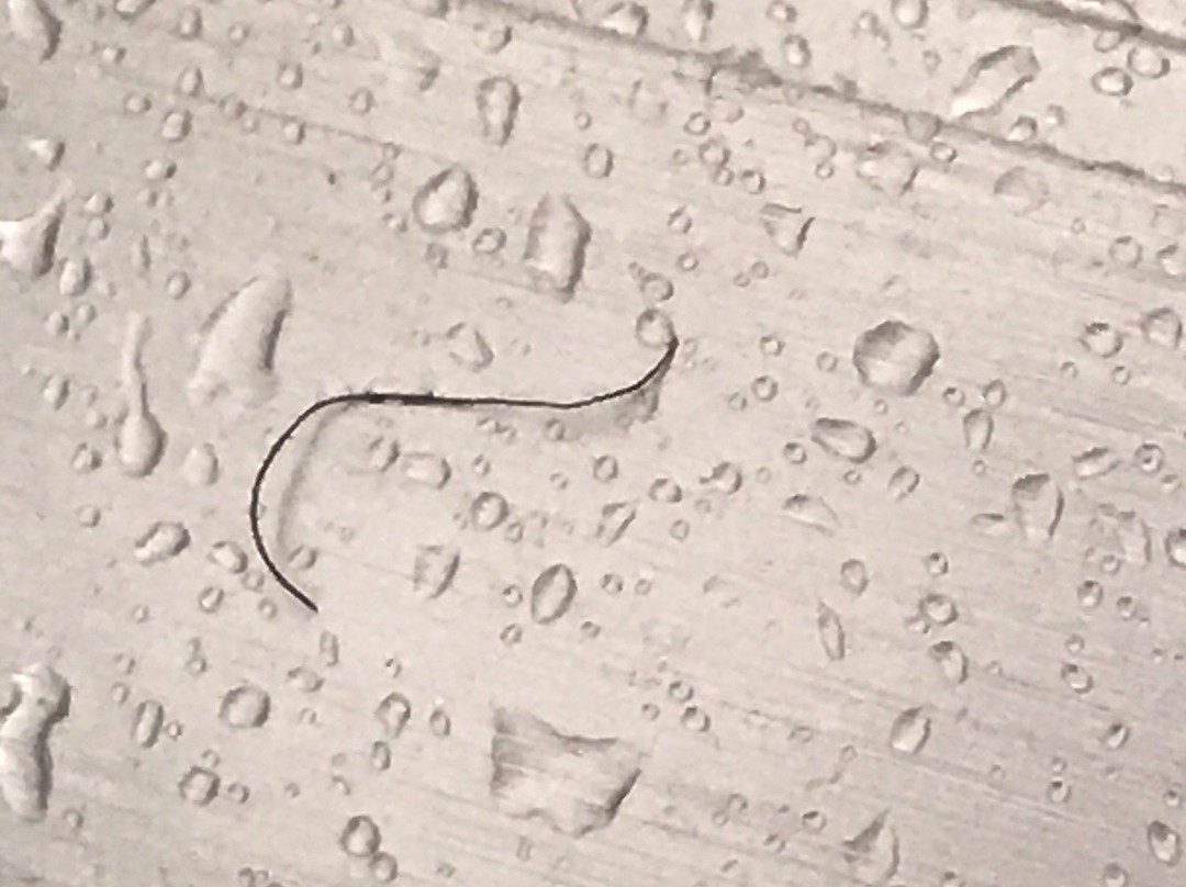 Holiday Inn Express & Suites Carrollton West By IHG主图