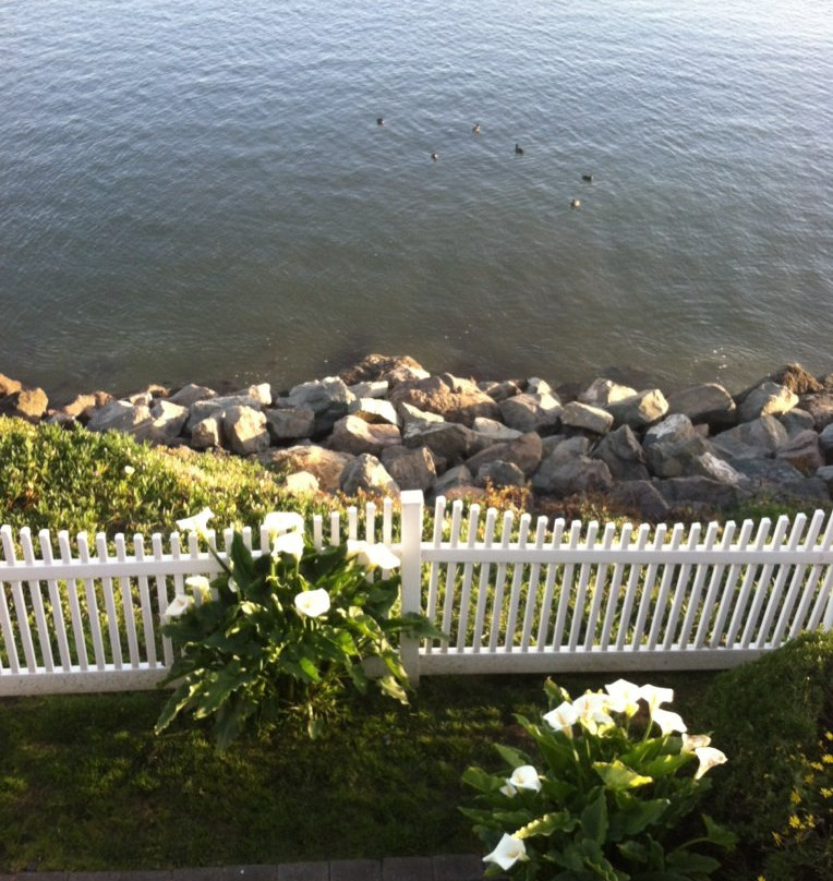 The Inn at Mavericks主图