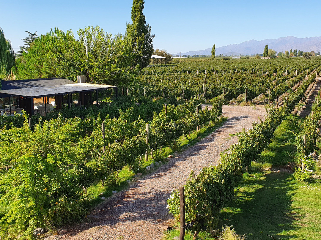 Finca La Puebla主图