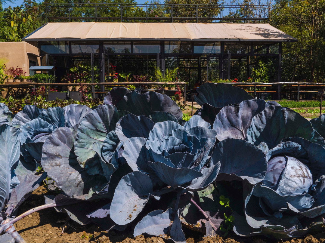 Jehan Numa Retreat主图