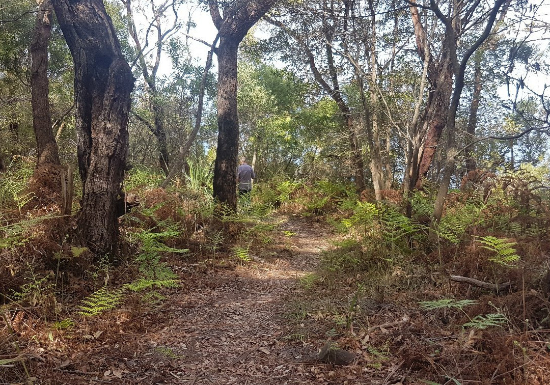Sublime Point Lookout-Bulli Tops必去景点