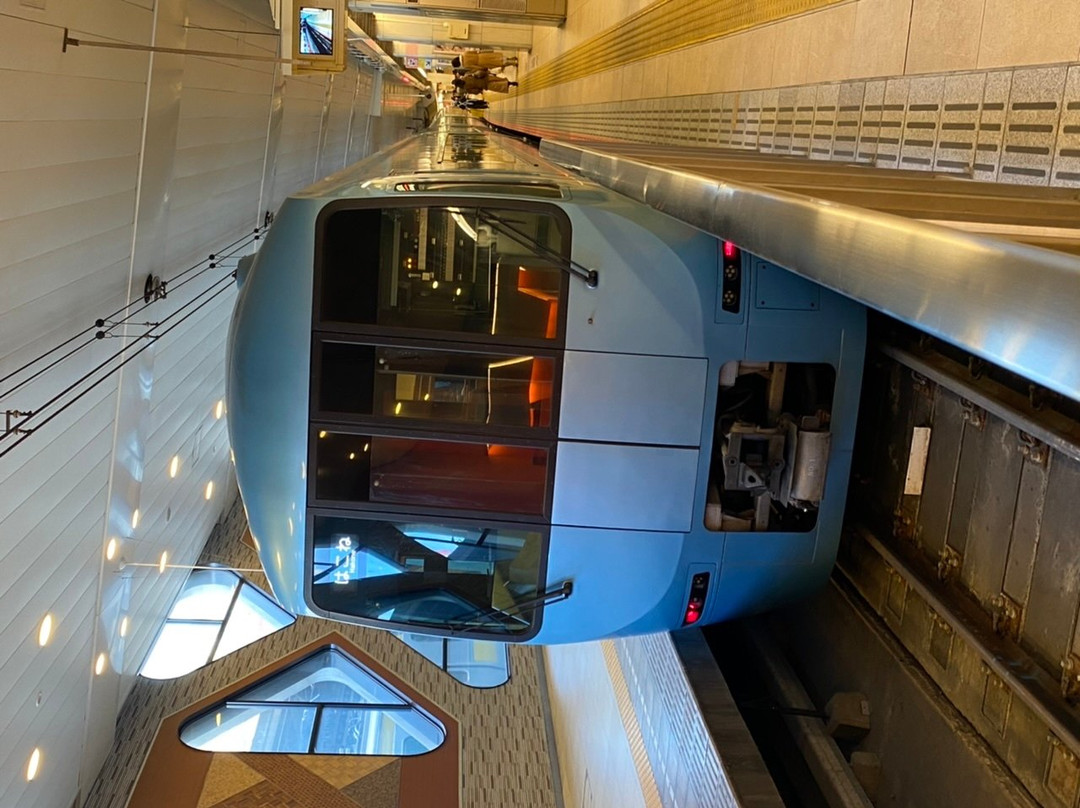 Odakyu Limited Express Romancecar-东京都必去景点