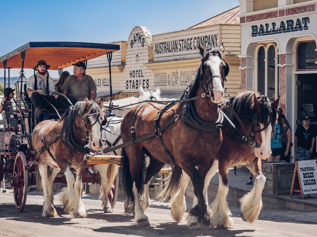 WeDesi Tours and Travels-墨尔本必去景点