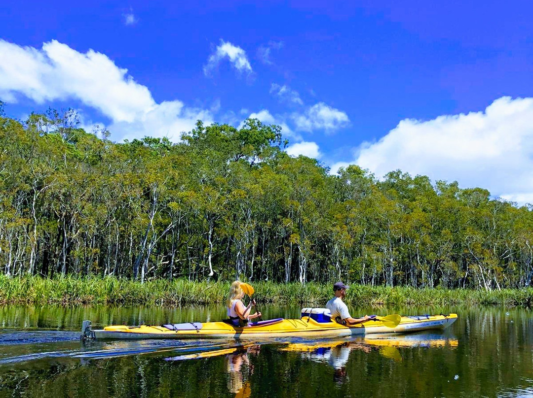 Kanu Kapers Australia Noosa Everglades Kayak Day Tours-努沙必去景点