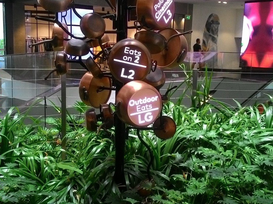 Timezone Central Park-悉尼必去景点