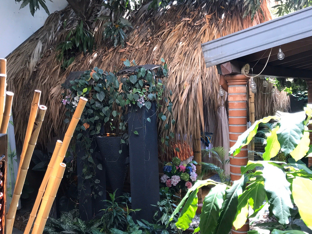 Brassia Estética-麦德林必去景点