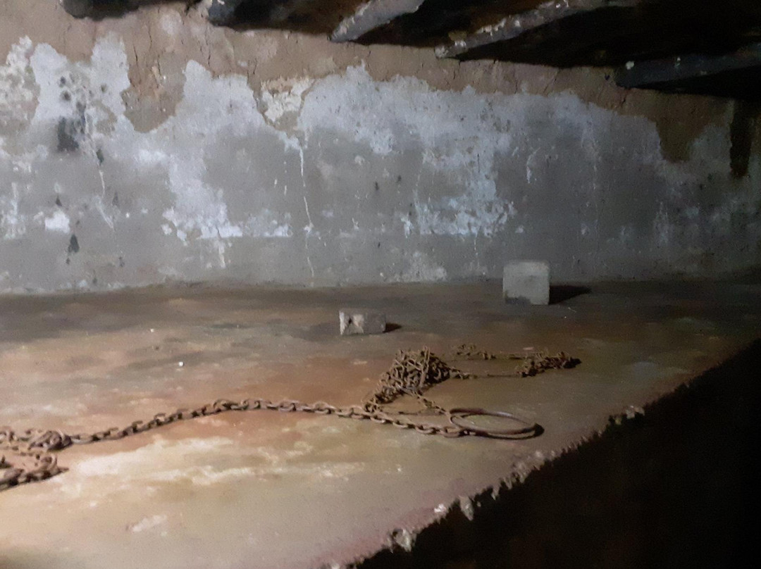 Zanzibar Easy Transfer-桑给巴尔岛必去景点