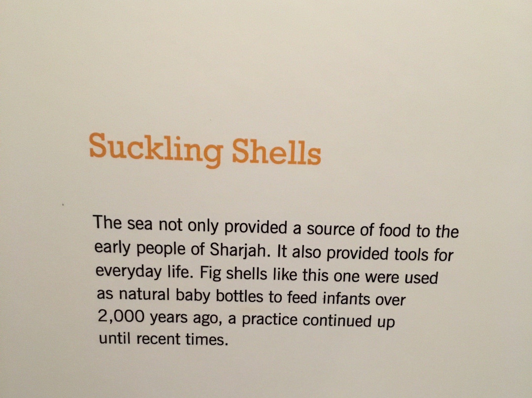 Maritime Museum-沙迦必去景点