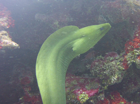 Ambassador Divers-七哩滩必去景点