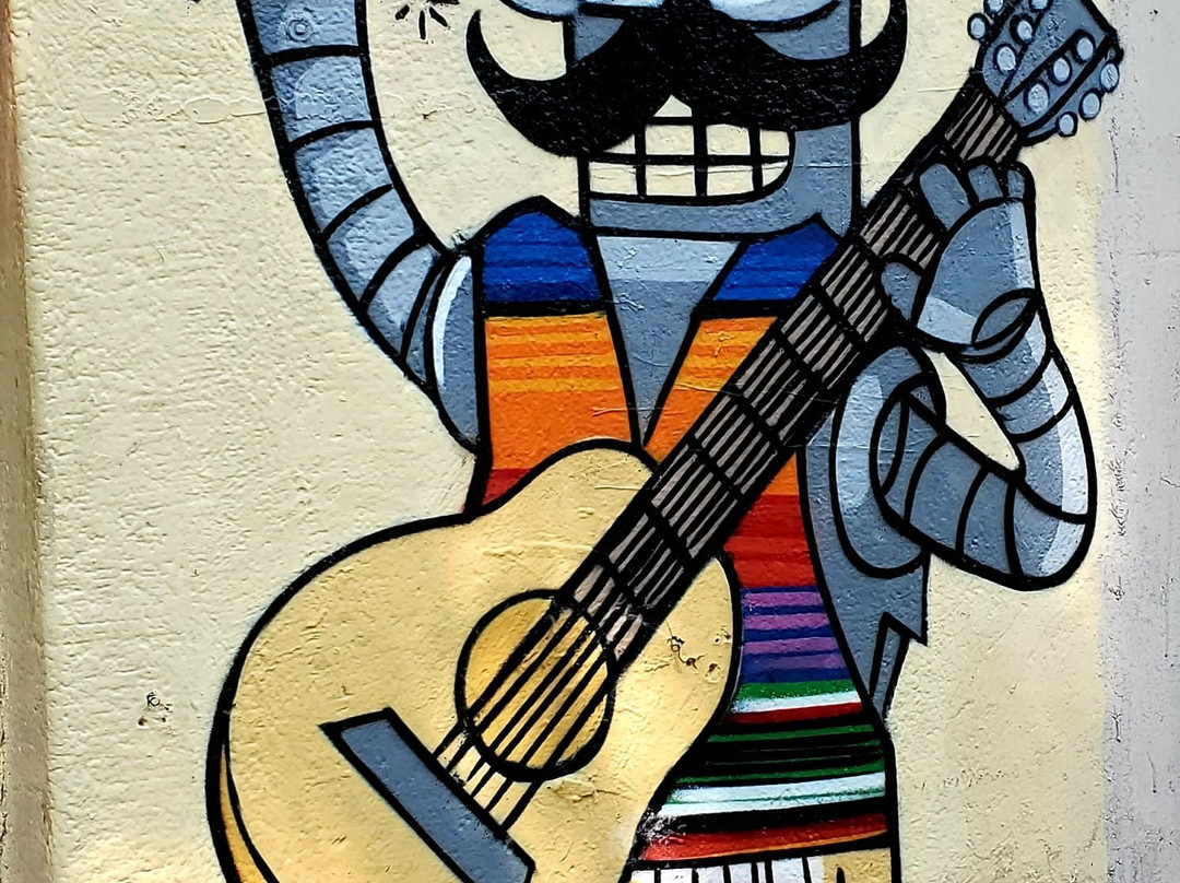 Street Art Roma District-墨西哥城必去景点