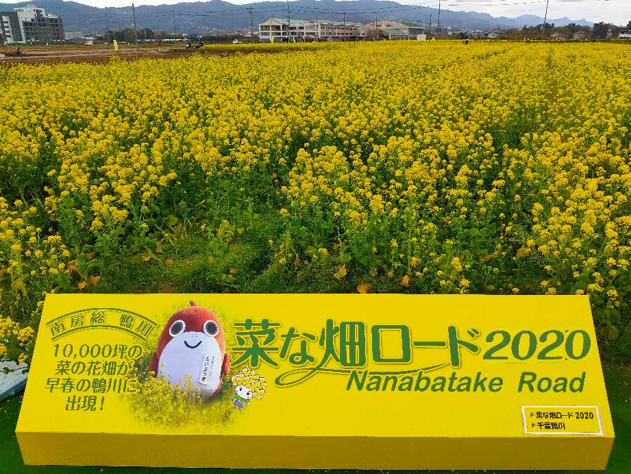 Nanabatake Road景点图片