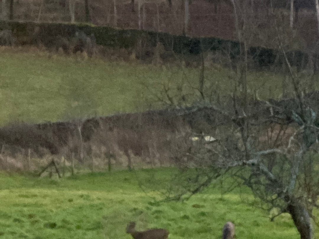 The Punch Bowl Inn Hotel主图