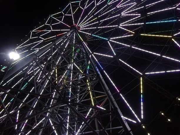 Diamond and Flower Ferris Wheel-江戸川区必去景点