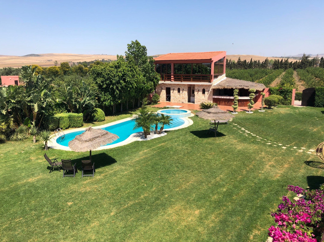 Mateur旅游攻略图片