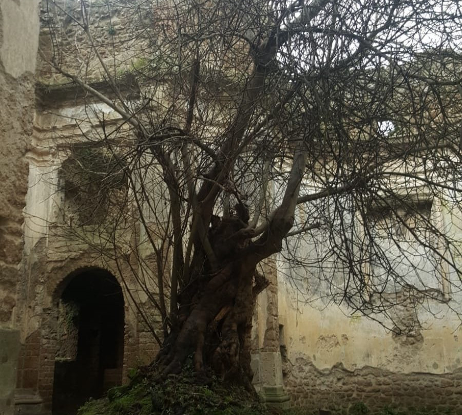 Riserva Naturale Regionale Monterano - Canale Monterano (RM)-布拉恰诺必去景点