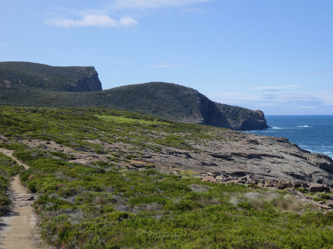 Mount Brown and Crescent Bay Walking Track-亚瑟港必去景点