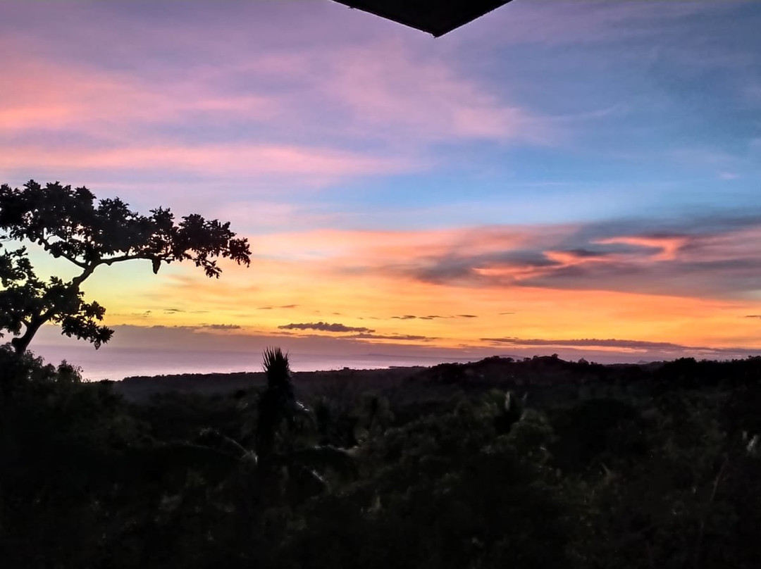 Marquis Garden Eco Cottages主图