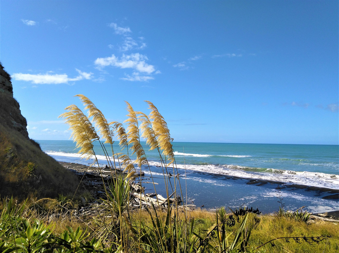 Kai Iwi Beach景点图片
