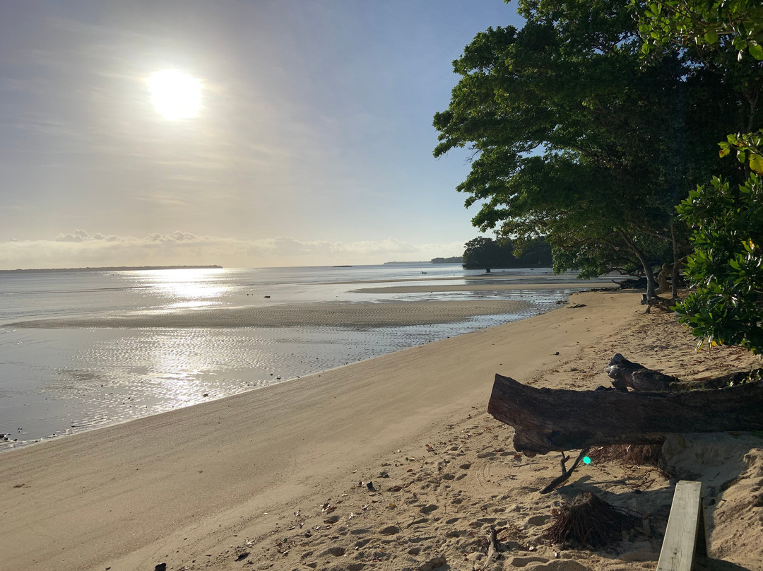 Mahi Mahi Beach Villas主图
