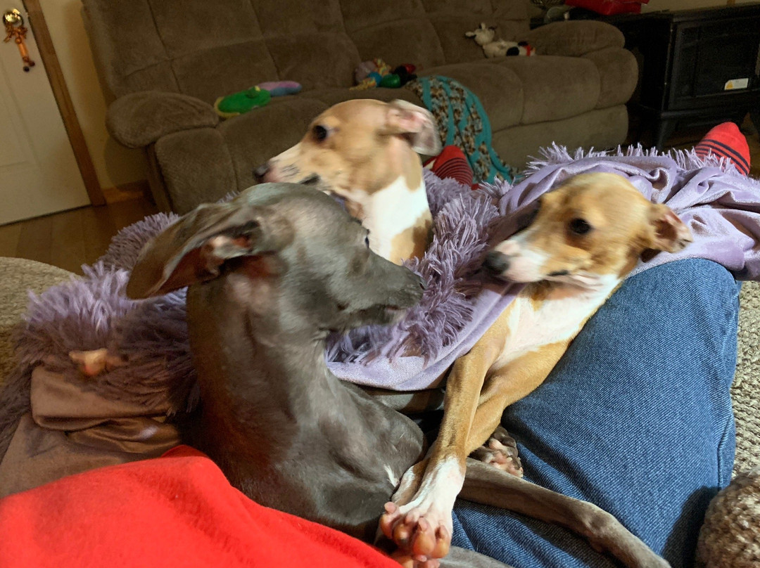 Georgia Veterans Memorial State Park Camping主图