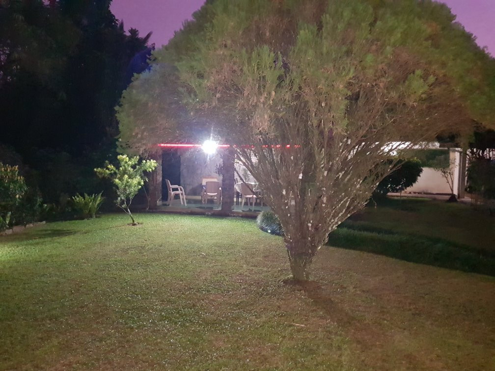 Ebony Springs Specialty Teas and Home Stay Accommodation主图