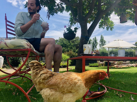 CapeGuide-开普敦中心区必去景点