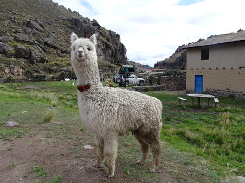 3 Canyons Travel-Espinar必去景点