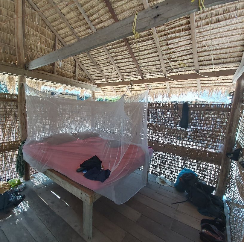 The Last Point主图