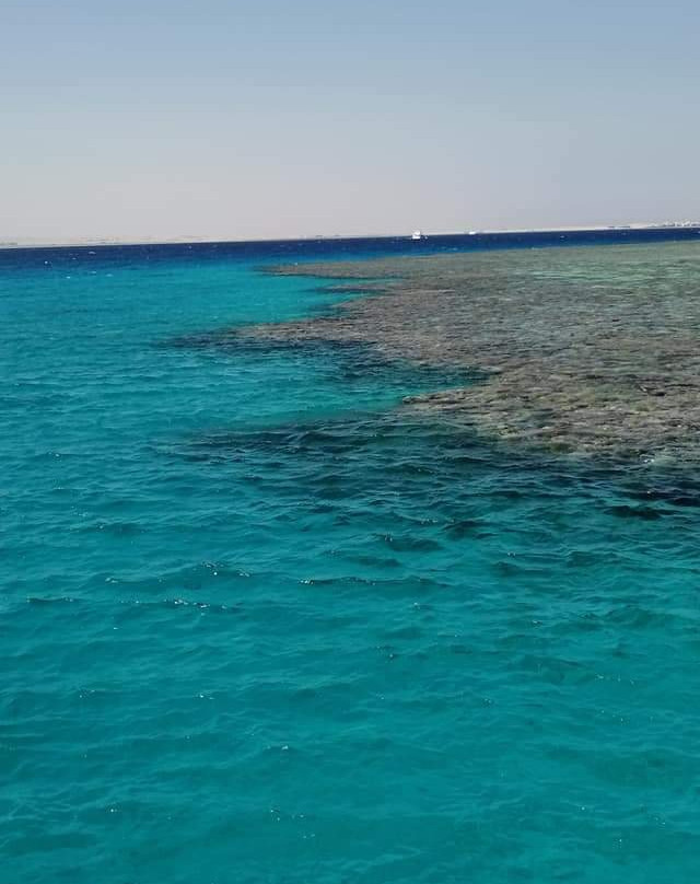 Magical Tours-Safaga必去景点