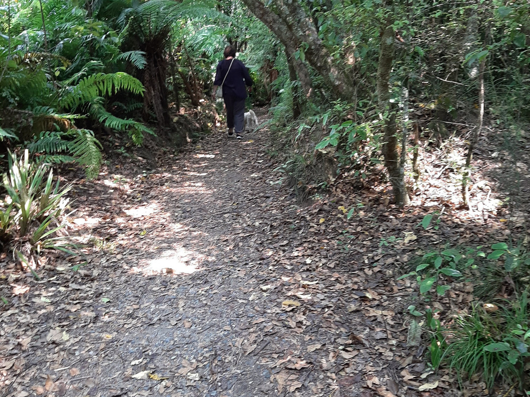 Opepe Scenic and Historic Reserve-陶波必去景点