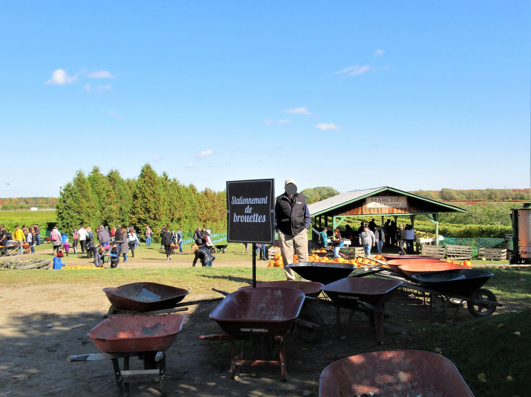 Centre d'Interpretation de la Courge du Quebec-Saint-Joseph-du-Lac必去景点