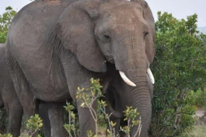 Denki Travel-Embakasi必去景点