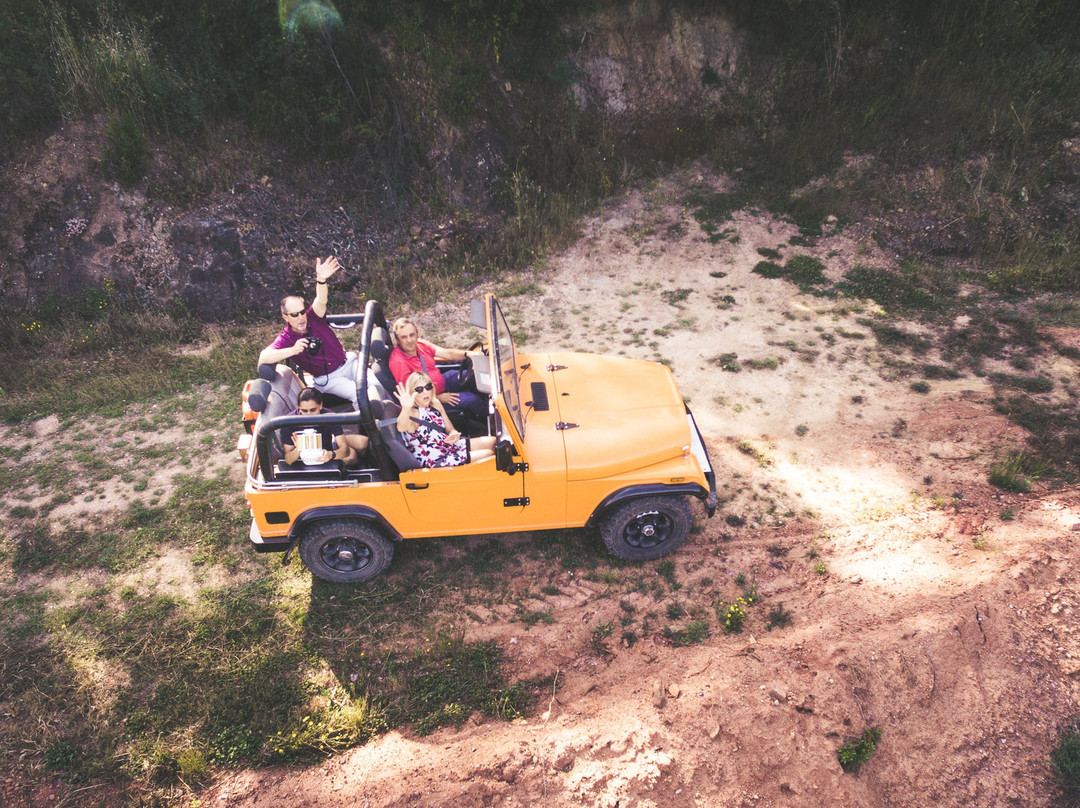 Viewpoint Tours - Center of Portugal-科英布拉区必去景点