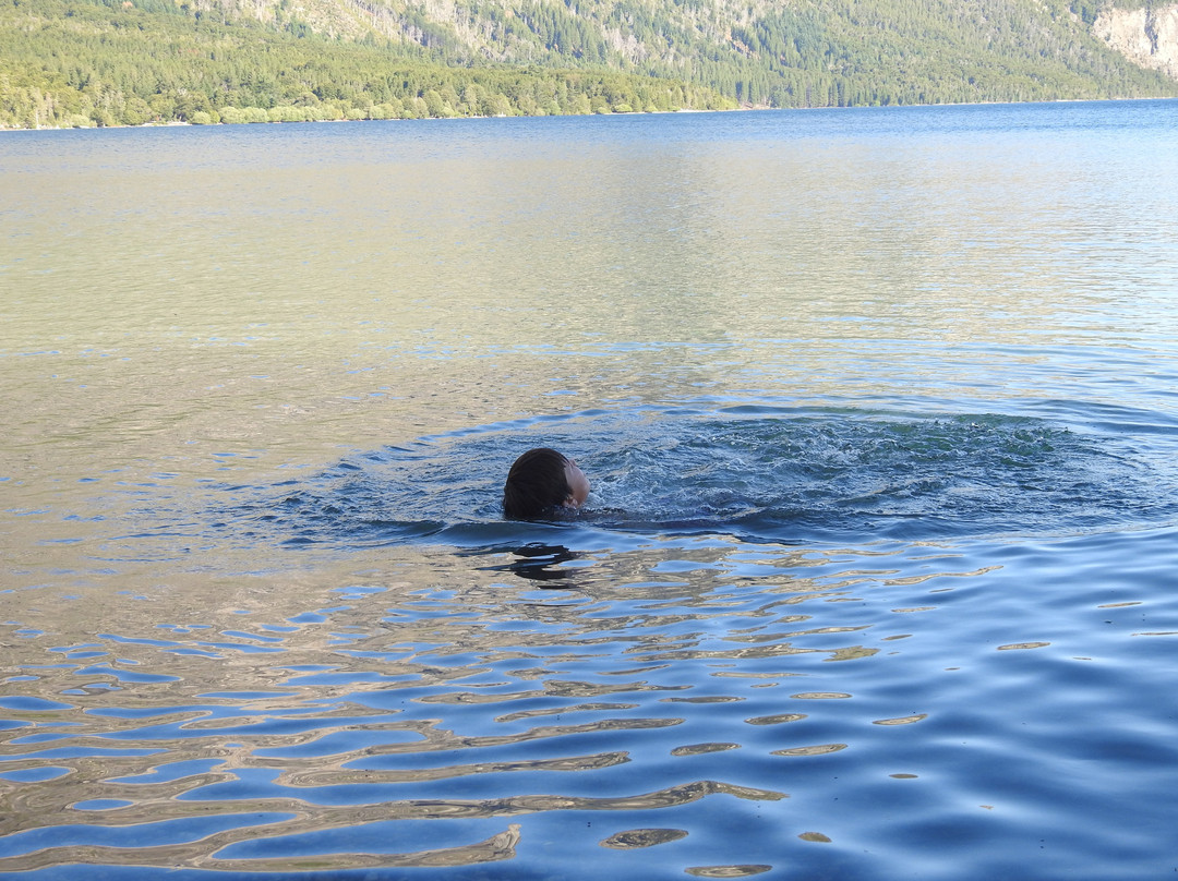 Lake Epuyen景点图片