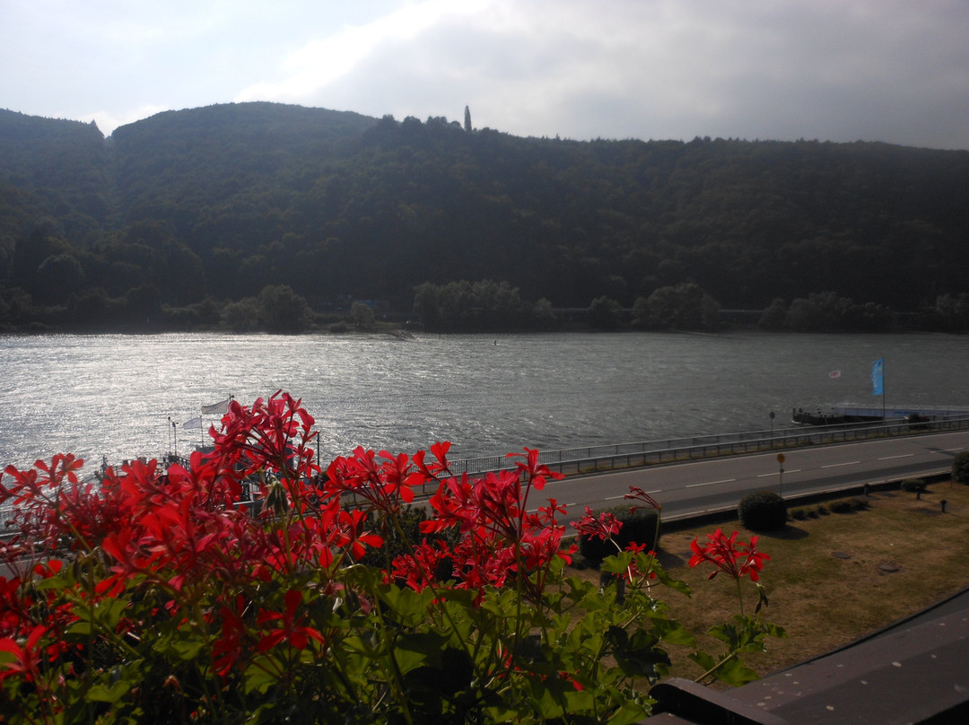 阿斯曼斯豪森酒店主图