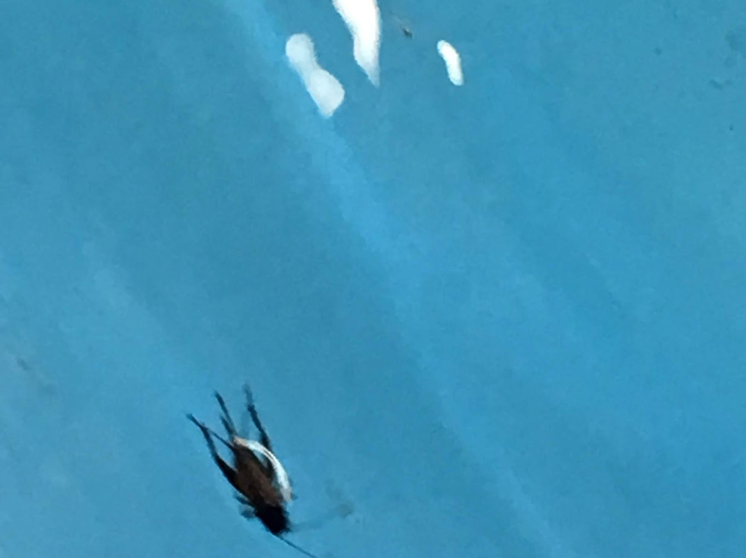 Quality Inn Goodland I-70主图