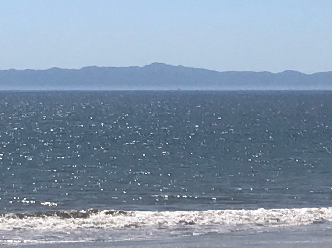 Santa Barbara Fish Market-圣巴巴拉必去景点