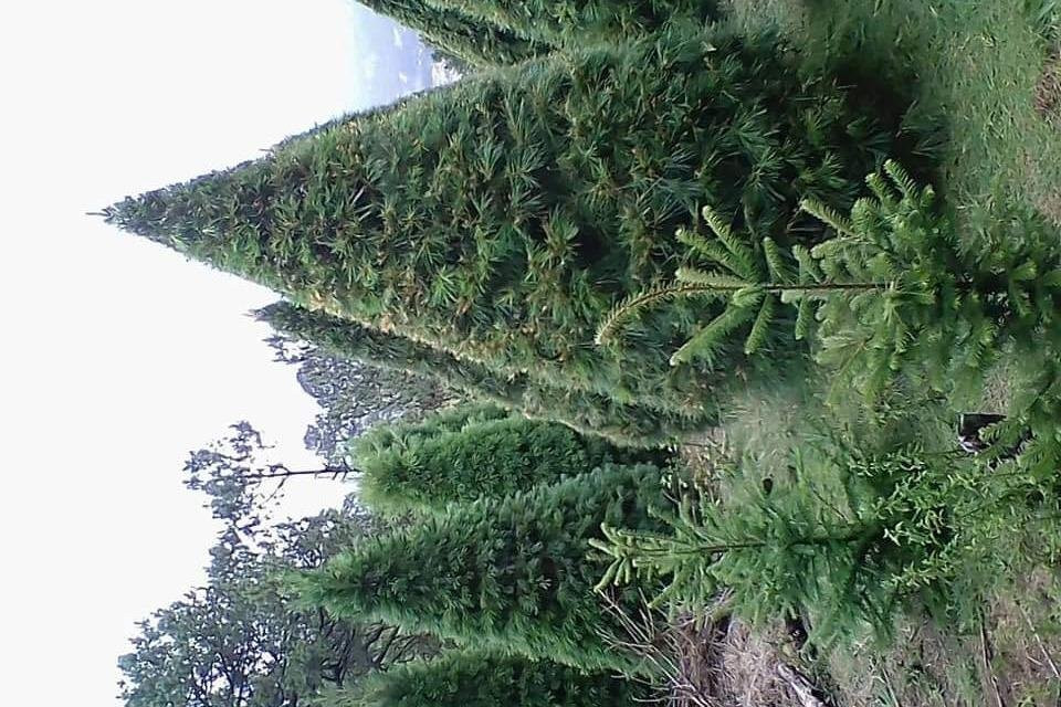 Rancho Didáctico La Poza Del Indio-墨西哥城必去景点