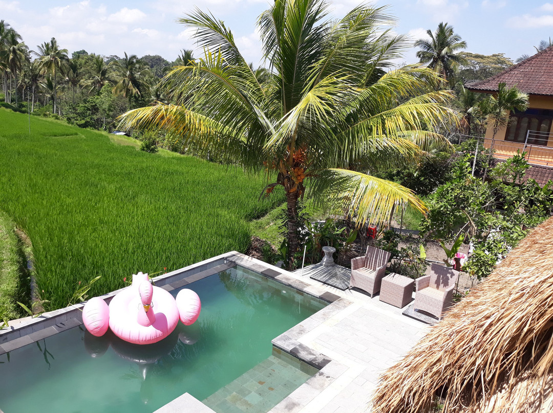 杜古村家庭旅馆主图